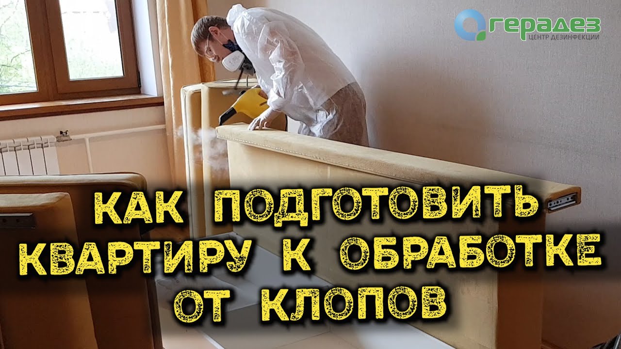 Эффективные способы обработки квартиры от клопов